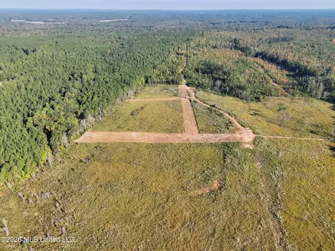 Bluff Springs Road, Ackerman, MS 39735 photo 31