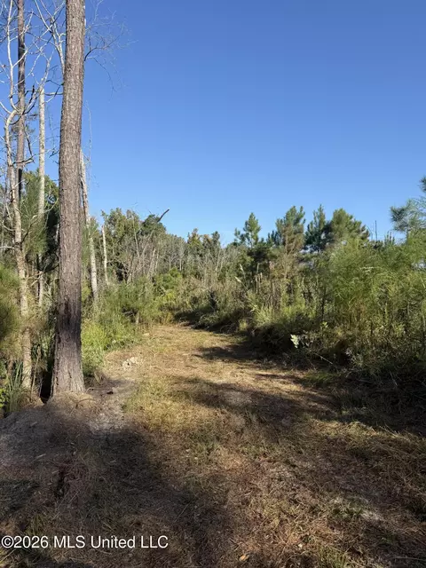 Bluff Springs Road, Ackerman, MS 39735 photo 6