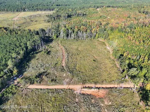 Bluff Springs Road, Ackerman, MS 39735 photo 26