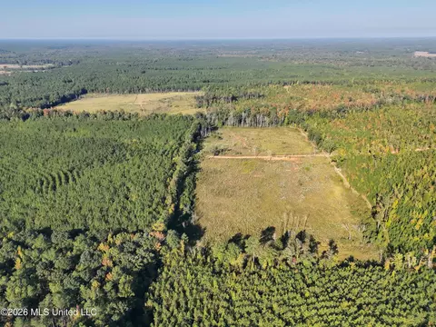 Bluff Springs Road, Ackerman, MS 39735 photo 3
