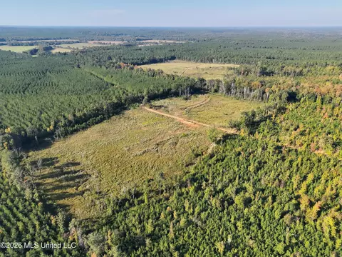 Bluff Springs Road, Ackerman, MS 39735 photo 27