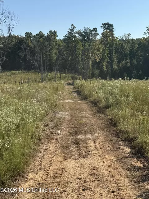 Bluff Springs Road, Ackerman, MS 39735 photo 19