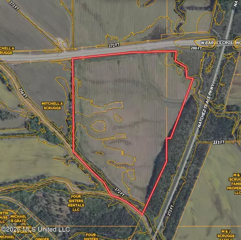 0 W Barnes Crossing Rd, Saltillo, MS 38866 photo 15
