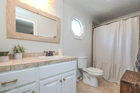 Bath - 121 Vinca Dr, Madison, MS 39110 photo 3 of 9