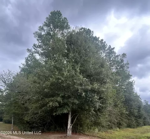 Ms-614, Moss Point, MS 39562 photo 2