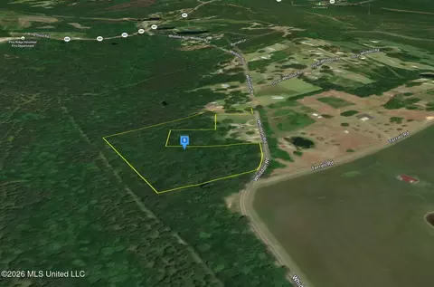 145 Whiddon Rd, Purvis, MS 39475 photo 3