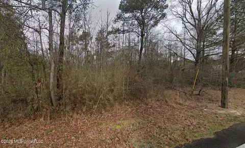 145 Whiddon Rd, Purvis, MS 39475 photo 2