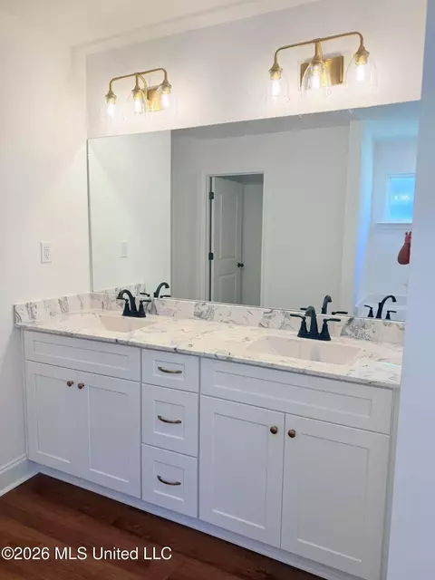 Bath - 6068 Hickory Point Dr, Walls, MS 38680 photo 1 of 3
