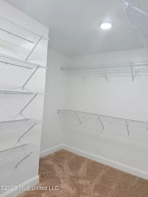 Other - 6068 Hickory Point Dr, Walls, MS 38680 photo 3 of 4