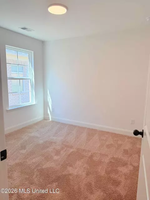 Other - 6068 Hickory Point Dr, Walls, MS 38680 photo 4 of 4