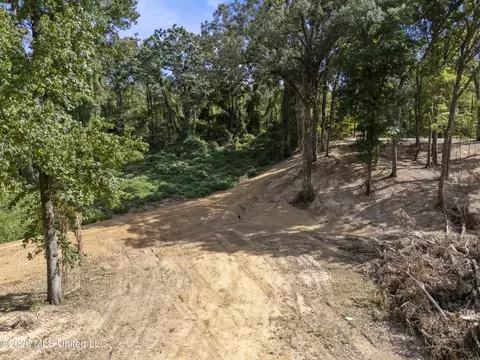5 Nail Rd, Walls, MS 38680 photo 43