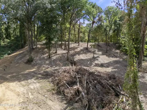 5 Nail Rd, Walls, MS 38680 photo 44