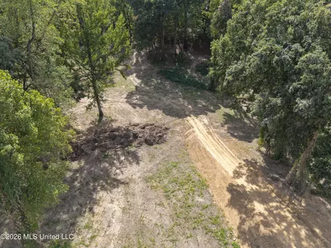 5 Nail Rd, Walls, MS 38680 photo 7