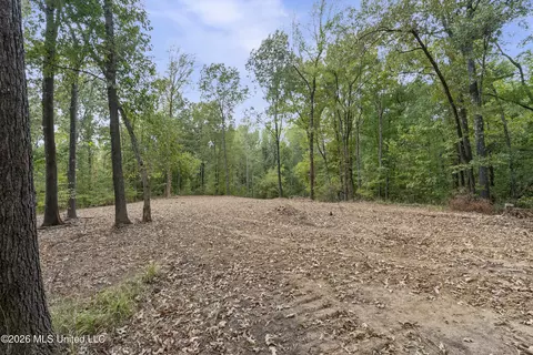 5 Nail Rd, Walls, MS 38680 photo 63