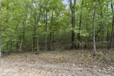 5 Nail Rd, Walls, MS 38680 photo 11
