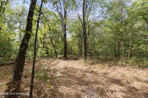 5 Nail Rd, Walls, MS 38680 photo 73