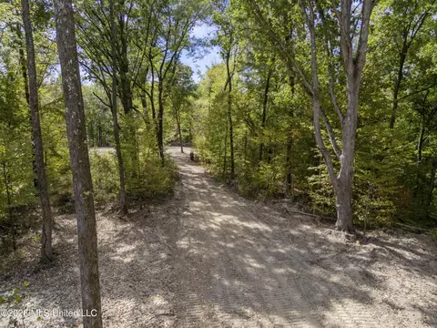5 Nail Rd, Walls, MS 38680 photo 55