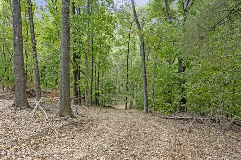 5 Nail Rd, Walls, MS 38680 photo 60