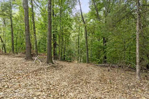 5 Nail Rd, Walls, MS 38680 photo 58