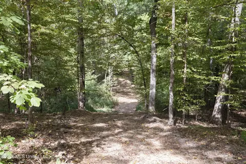 5 Nail Rd, Walls, MS 38680 photo 76