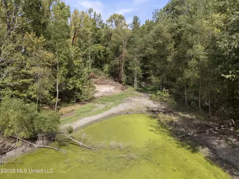 5 Nail Rd, Walls, MS 38680 photo 37