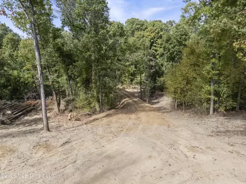 5 Nail Rd, Walls, MS 38680 photo 28