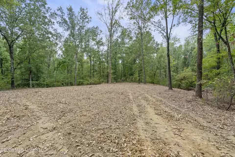 5 Nail Rd, Walls, MS 38680 photo 62