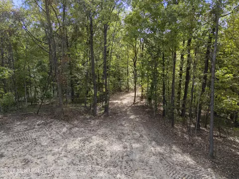 5 Nail Rd, Walls, MS 38680 photo 30