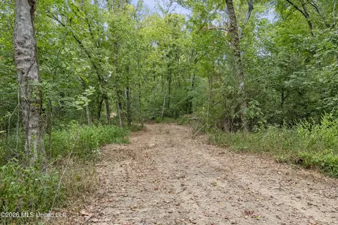 5 Nail Rd, Walls, MS 38680 photo 67