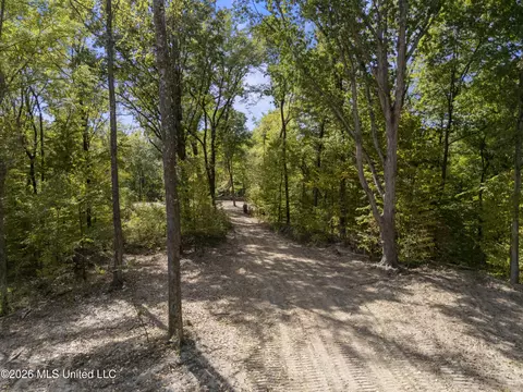 5 Nail Rd, Walls, MS 38680 photo 49