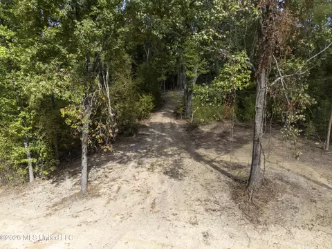 5 Nail Rd, Walls, MS 38680 photo 27
