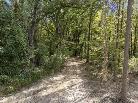 5 Nail Rd, Walls, MS 38680 photo 54