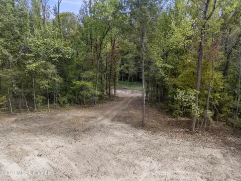 5 Nail Rd, Walls, MS 38680 photo 26
