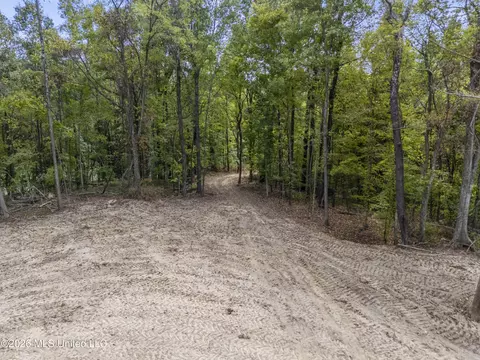 5 Nail Rd, Walls, MS 38680 photo 29