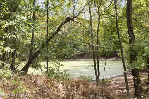 5 Nail Rd, Walls, MS 38680 photo 71
