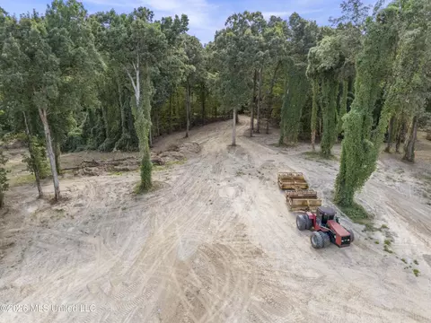 5 Nail Rd, Walls, MS 38680 photo 19