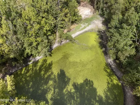 5 Nail Rd, Walls, MS 38680 photo 36