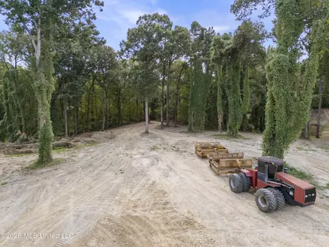 5 Nail Rd, Walls, MS 38680 photo 20