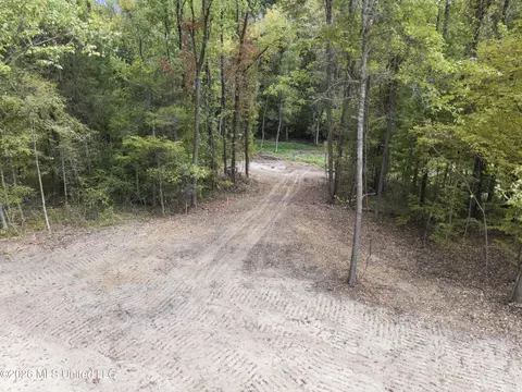 5 Nail Rd, Walls, MS 38680 photo 32