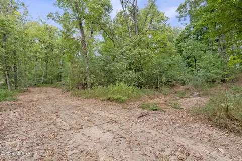 5 Nail Rd, Walls, MS 38680 photo 68