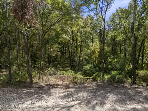 7 Nail Rd, Walls, MS 38680 photo 48