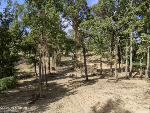 7 Nail Rd, Walls, MS 38680 photo 50