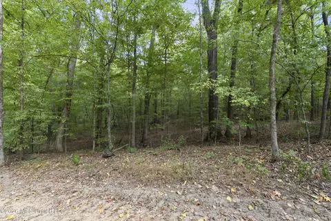 7 Nail Rd, Walls, MS 38680 photo 32