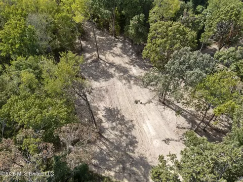 7 Nail Rd, Walls, MS 38680 photo 53