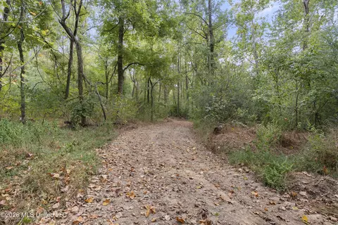 7 Nail Rd, Walls, MS 38680 photo 70