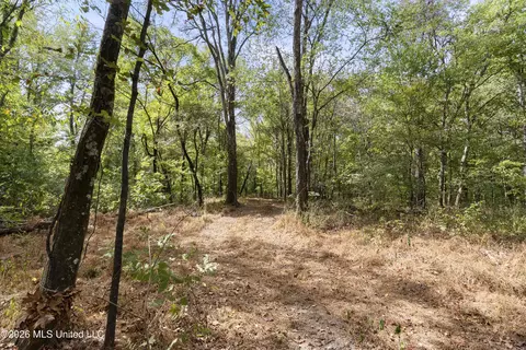 7 Nail Rd, Walls, MS 38680 photo 73