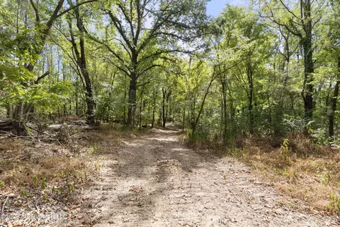 7 Nail Rd, Walls, MS 38680 photo 75