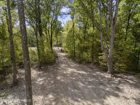 7 Nail Rd, Walls, MS 38680 photo 55