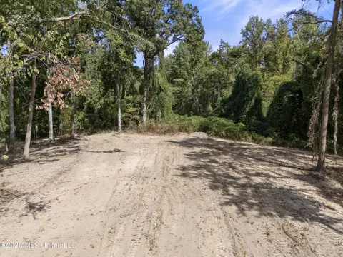 7 Nail Rd, Walls, MS 38680 photo 47