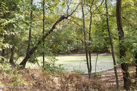 7 Nail Rd, Walls, MS 38680 photo 71
